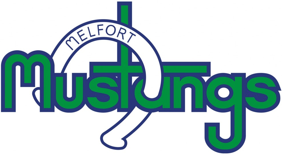 Melfort Mustangs 2016-Pres Primary Logo iron on heat transfer
